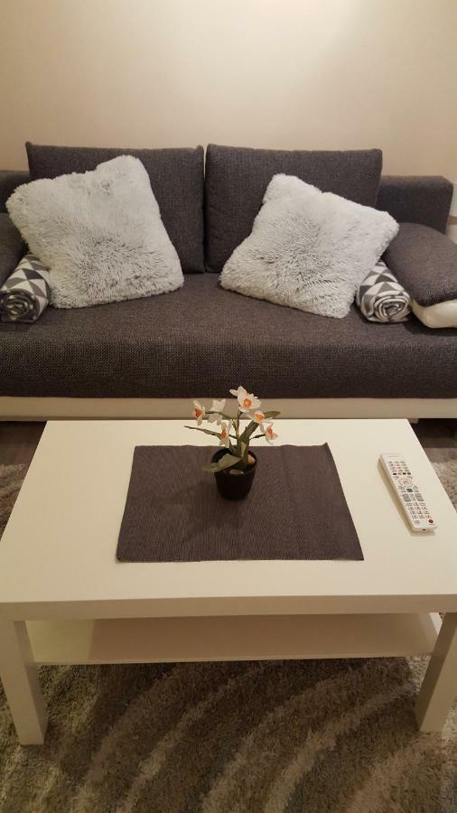 Liget Apartment, Terrace, Free Parking, Ac Budapest Esterno foto